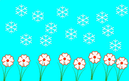 Flowers in the snow - Panipal