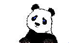 Baby Panda - Giant Panda Bear