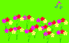 buba - flowers in spring