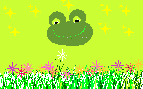 Kiso Druif - Frog