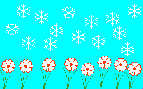 Panipal - Flowers in the snow