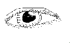 shannon  - an eye