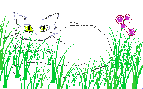 Лера - Камышовый кот