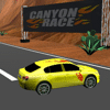 Canyon race